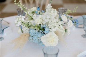 IMG_9077.jpg